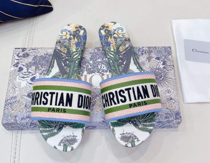 Dior New Electric Broidered Slippers